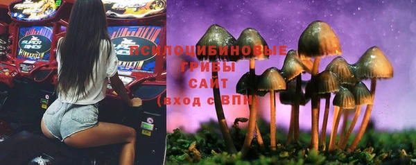 метадон Алексеевка